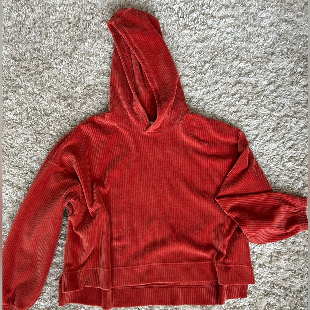 Velour Aerie Cropped Hoodie